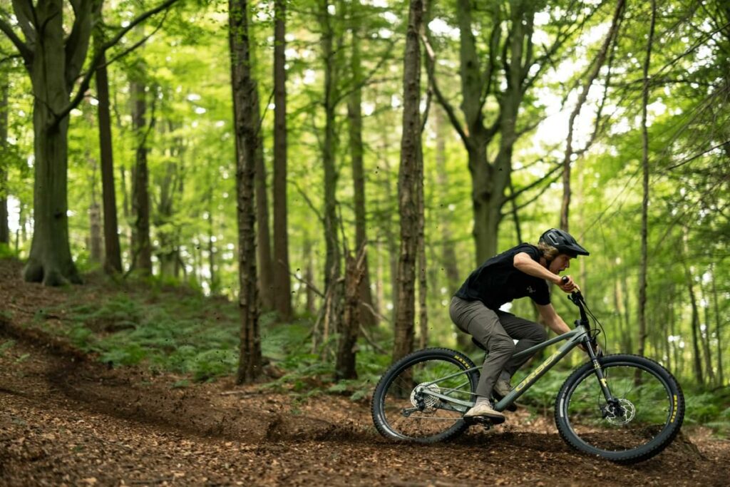 Orbea trail online hardtail